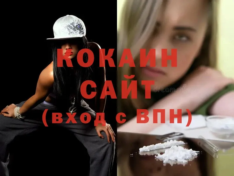 MEGA ссылки  площадка наркотические препараты  COCAIN Колумбийский  Каменногорск 